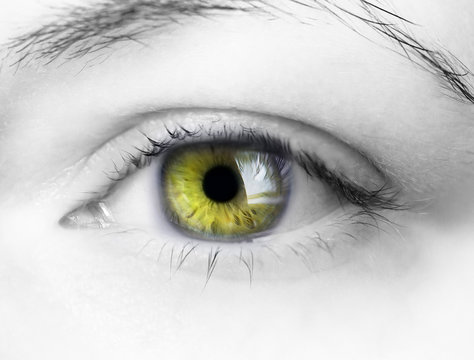 green eye