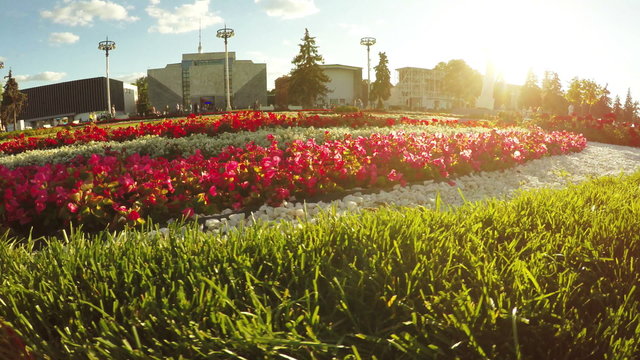 Flower Garden in city park
