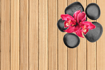 Black spa stones and pink orchid flower on wooden background