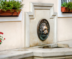 Memorial fountain in front of the house in Lviv, head lion mouth which flows a stream of water