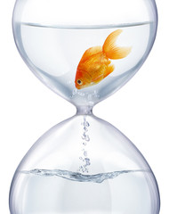 Aquarium hourglass.
It symbolizes the transience of time and changes in life.