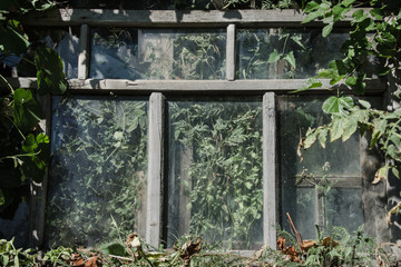The abandoned window