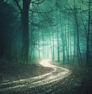 Fototapeta Magic color autumn forest road. Dreamy bllue green colored foggy countryside forest tree with winding road background. Fantasy colored woodland. Color filter effect used.