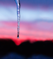 Icicle Sunset