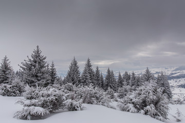 Fototapeta premium Scenery in the mountains, in winter