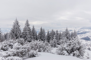 Scenery in the mountains, in winter