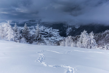 Winter scenery in the mountains with fresh powder snow