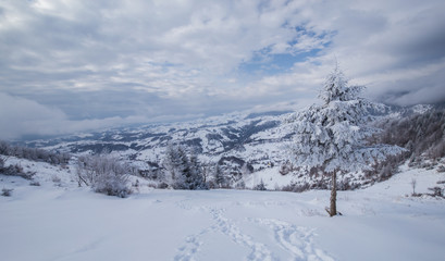 Fototapeta na wymiar Winter scenery in the mountains with fresh powder snow