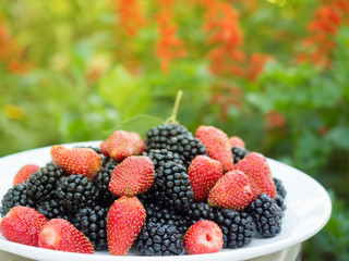 Mixed berries