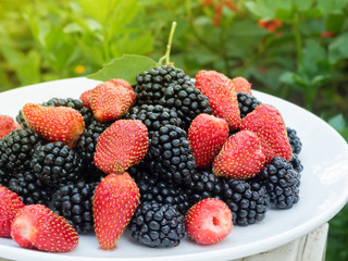 Mixed berries