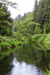 Fototapeta na wymiar Serene river in Oregon