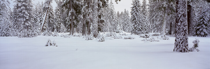 Fototapeta na wymiar Winter Snowstorm in the Lake Tahoe Area, California