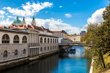 Ljubljana river