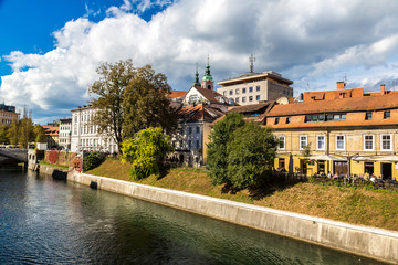 Naklejka premium Ljubljana river