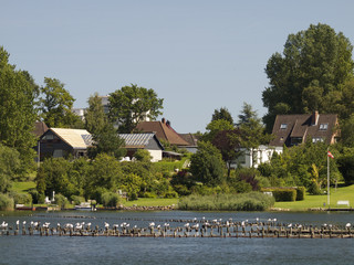 Fototapeta na wymiar Heringsnetze in der Schlei bei Kappeln