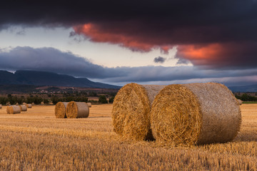 Round straw bales in the fields at sunset