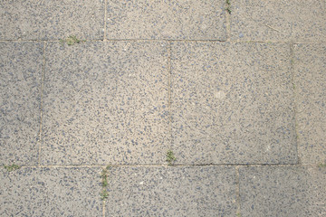 Rectangular paving stones as found on a pavement in Europe