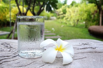 Drink water with frangipani flower