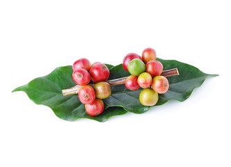 fresh raw coffee beans isolated on white background.