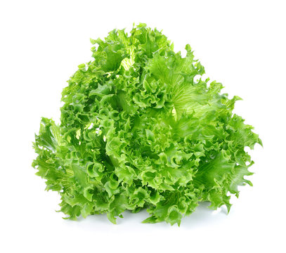 Green lettuce isolated on the white background.