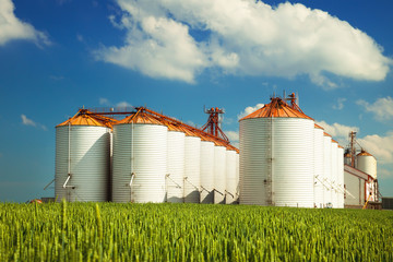 Agricultural silos under blue sky, in the fields © DeshaCAM