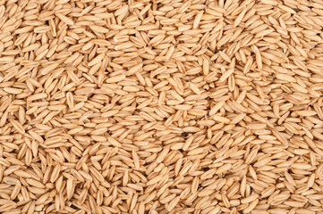 Background oats