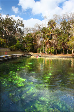 Wekiwa Springs in Florida