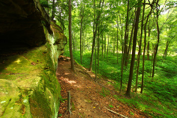 Rays of sunlight along a moss covered cliff of Turkey Run State Park in Indiana