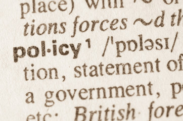 Dictionary definition of word policy