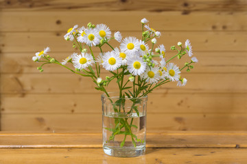 A small bouquet of white flowers standing on the window sil