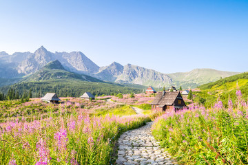 Fototapeta premium Drewniane chaty rozrzucone na kwiecistej łące
