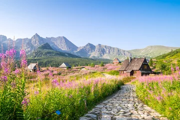 Keuken foto achterwand Tatra Wooden huts scattered on flowery meadow