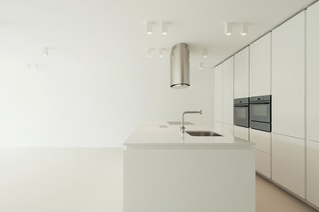 domestic kitchen of a modern house