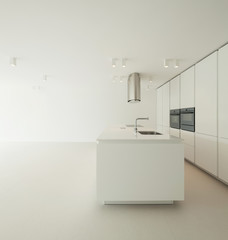 Obraz na płótnie Canvas domestic kitchen of a modern house