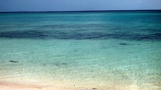 beach of zanzibar 
