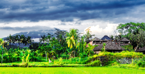 Fototapeta na wymiar Mt. Agung Landscape