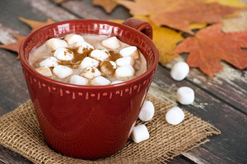 Hot Chocolate and Marshmallows with cinnamon in red cup. Rustic background with autumn leaves.