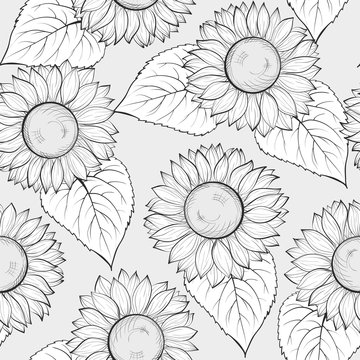black and white seamless background with sunflowers.