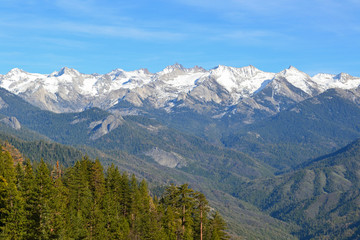 MOUNTAIN SEQUOIA NATIONAL PARK 