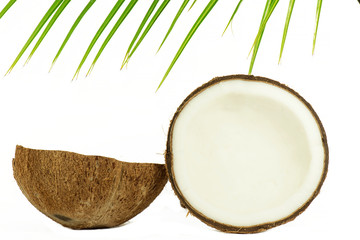 Coconut