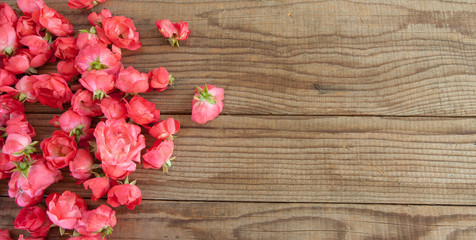 red roses on wooden background