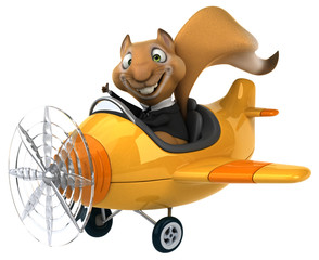 Fun squirrel © Julien Tromeur