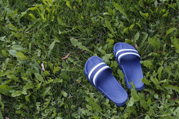 blue bathing slippers on grass