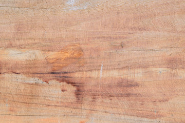 Naklejka premium Sliced wooden texture use for background.