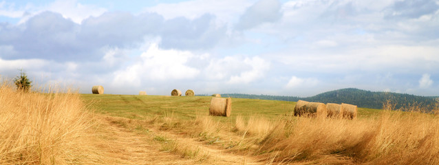 Hay harvest on meadow in Pasterka village, Poland, Table Mountains travel destination.