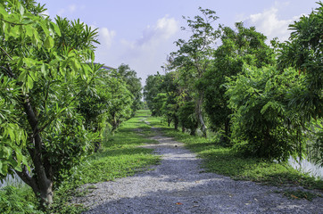 Way to nature