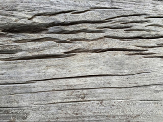 wood texture, wood background