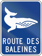 Guide and information road sign in Quebec, Canada - Whale route