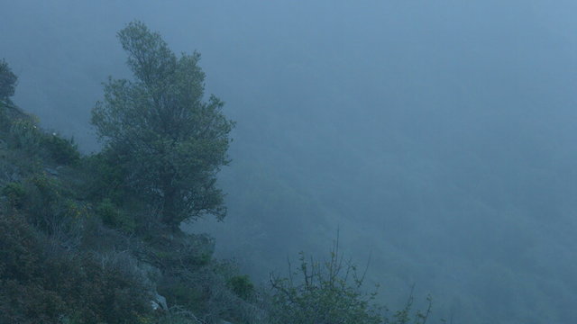 Background for mysterious story, horror film atmosphere, dangerous foggy cliff