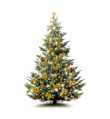 Weihnachtsbaum